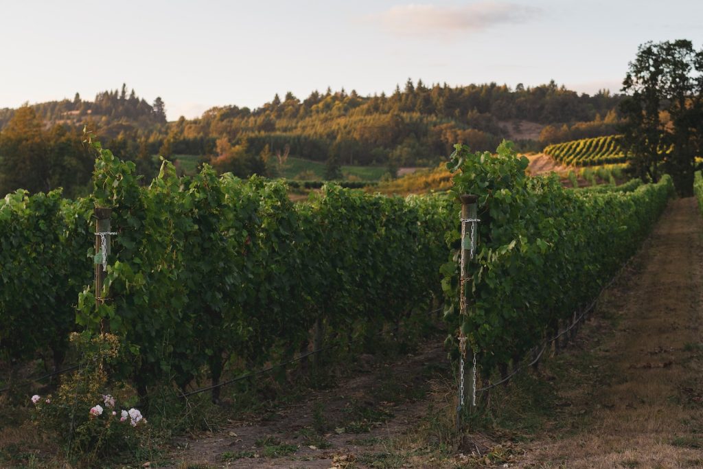 willamette wine valley oregon